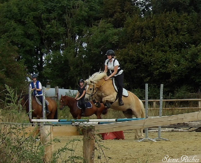 Plaque De Concours Hippique CSO - Souvenir Du Prix D'Aix Les Bains
